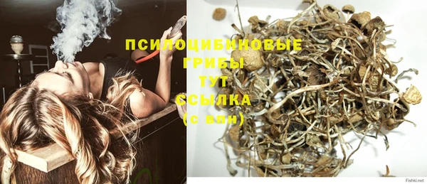ALPHA-PVP Алексеевка