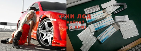 apvp Алзамай