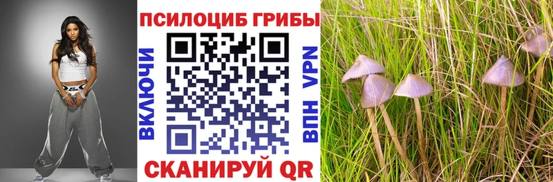 Псилоцибиновые грибы MAGIC MUSHROOMS Рубцовск